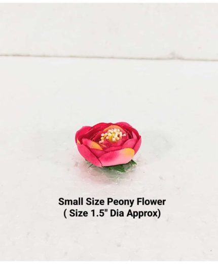 Peony Flowers