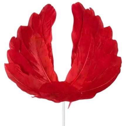 Red Feather Cake Topper (1 Pc)